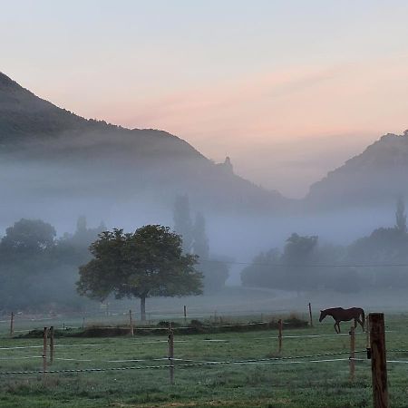 Mas De Reilhanette Montbrun-les-Bains Dış mekan fotoğraf
